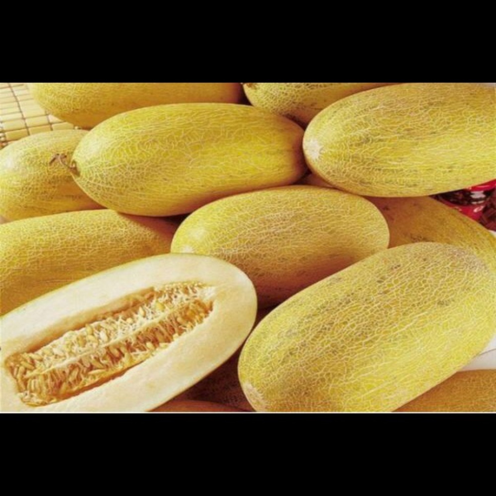 Meet your Posher, Adrian